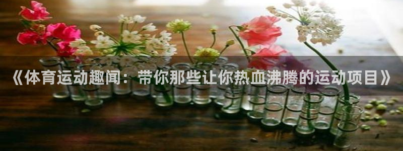 风速体育app官方下载