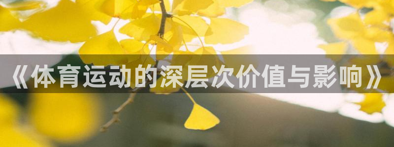 风速体育