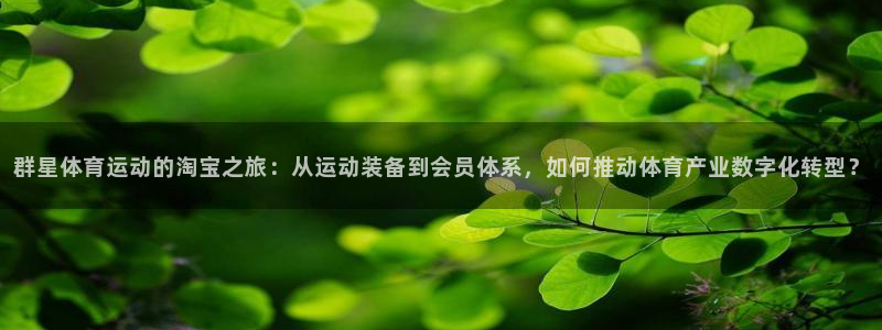 风速体育app官方下载