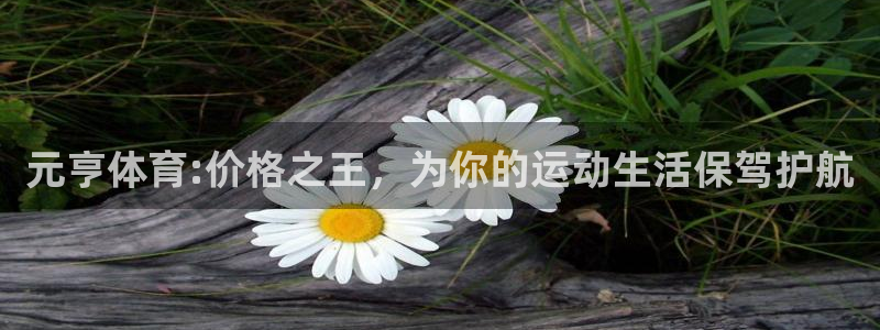 风速体育app下载安装最新版本