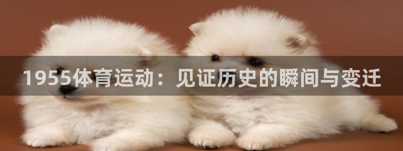 风速体育app下载官网最新版