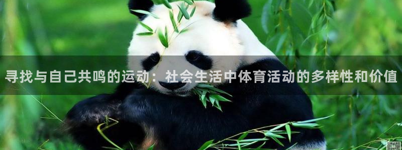 风速体育
