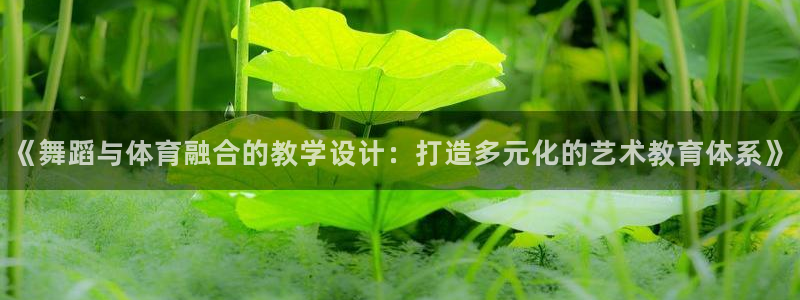风速体育app