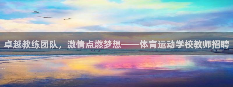 风速体育app下载官网最新版