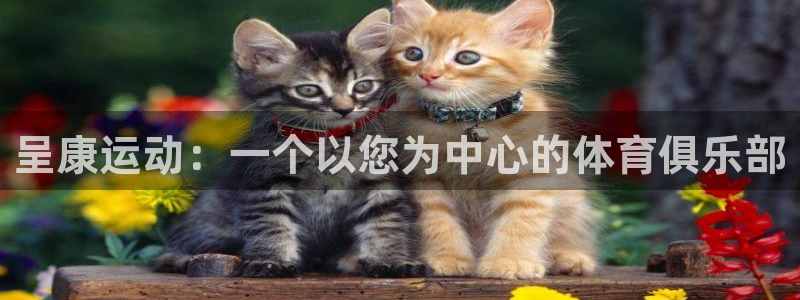 风速体育app