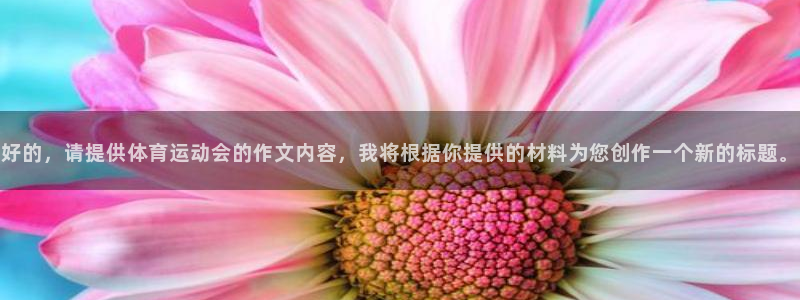 风速体育官网