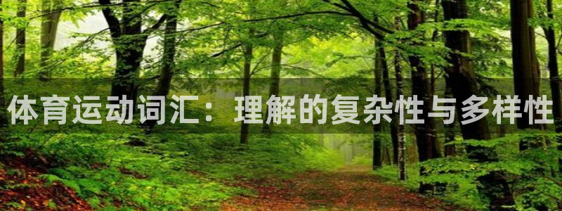 风速体育官网