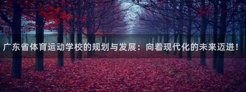 风速体育app官方下载